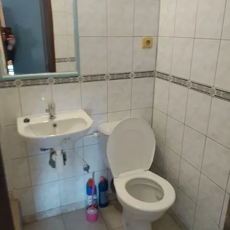 Проживание в семье Pohoraly